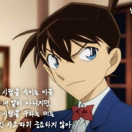 명탐정 코난 성인 된 가정과 탐정 대표 이미지
