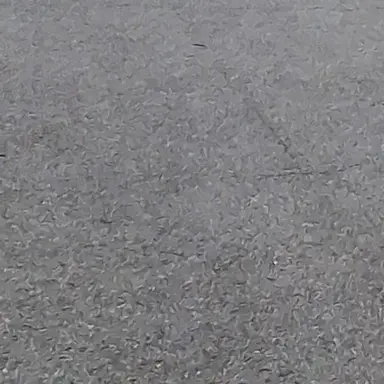 Profile image of 비