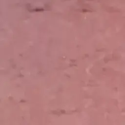 Profile image of 이승훈