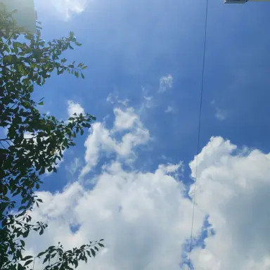 Profile image of 새