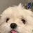 김동현