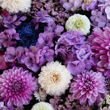 Profile image of 深澤辰哉