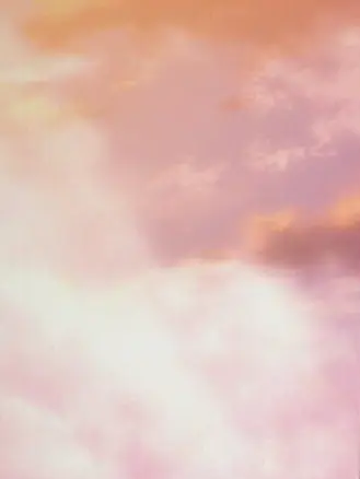 RaggedLeaf1700의 ハンジ・ゾエ