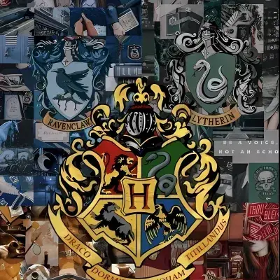 ModernHouse0333의 -_Harry Potter RP_-