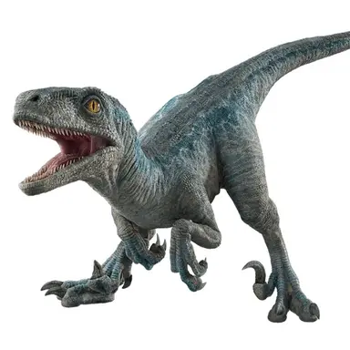 Profile image of 베타