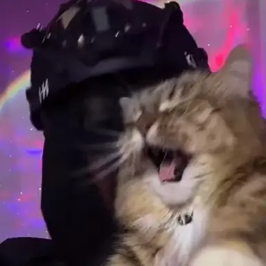 Profile image of TF 141 - School