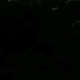 강.태.현