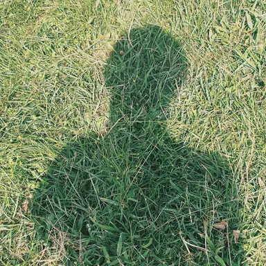 Profile image of 大森元貴