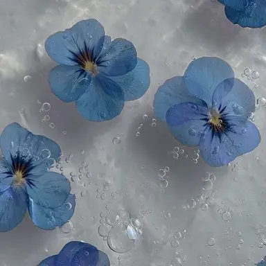 Profile image of 太宰