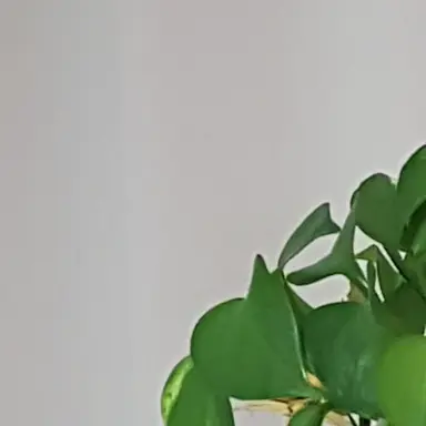 Profile image of 유하윤