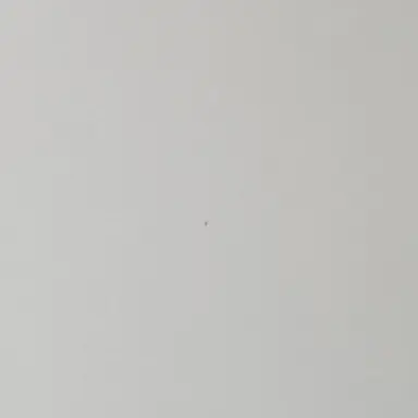 Profile image of 유하연