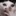 여우