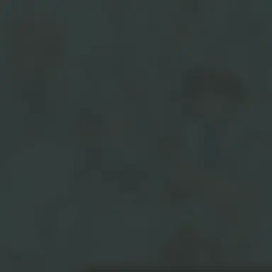 Profile image of 도윤