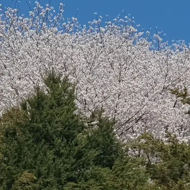 Profile image of 이지훈