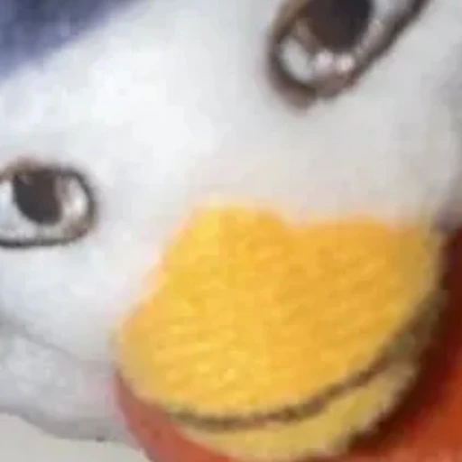 일찐 똘병