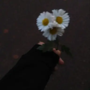 Profile image of 강이룬