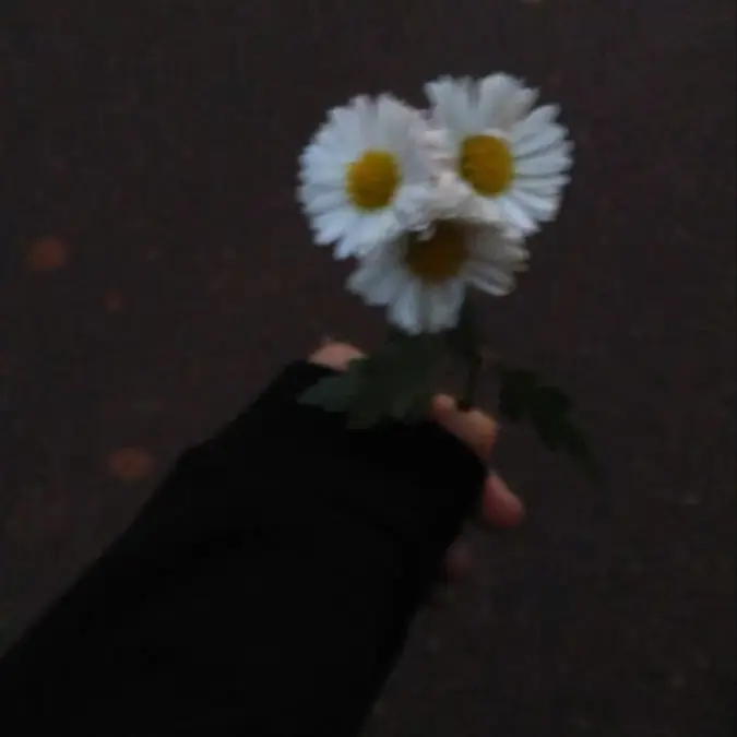 Maybe._.Maybe의 강이룬