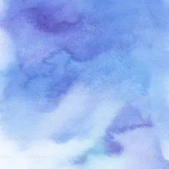 Profile image of 벨키