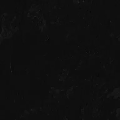 Profile image of ペンギン