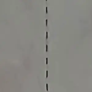 SoggyTotem0862의 이세계 뜰팁 [구면]