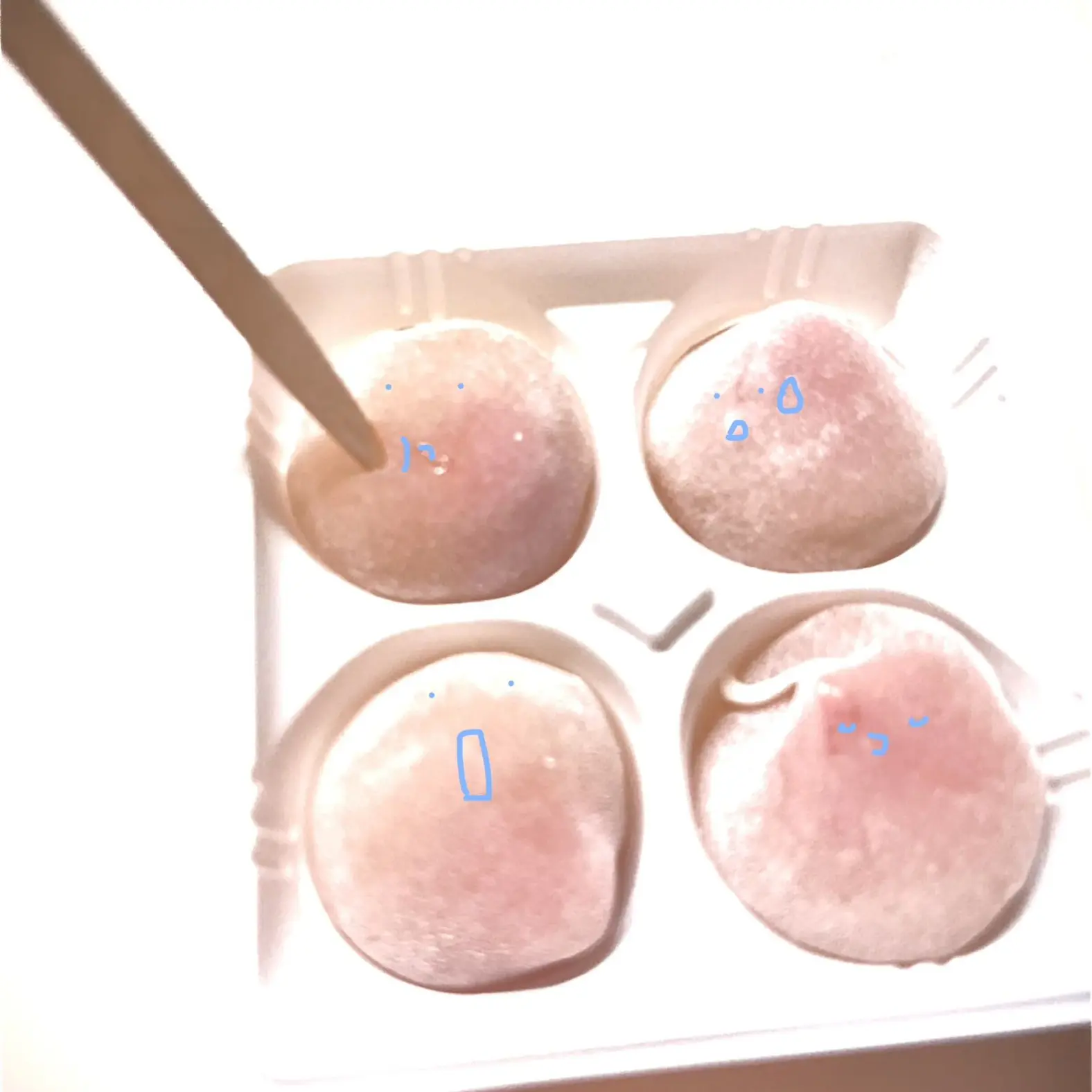 VioletStock6532의 레몬에이드 사실래요?
