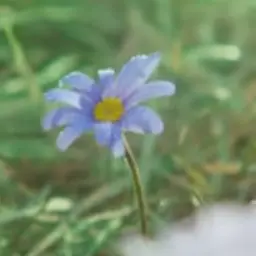 Profile image of 大森元貴