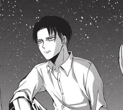 AbleDisc0671의 Levi Ackerman