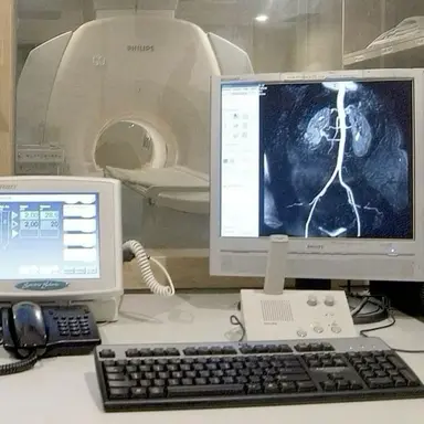 Profile image of Dr. Lena Patel