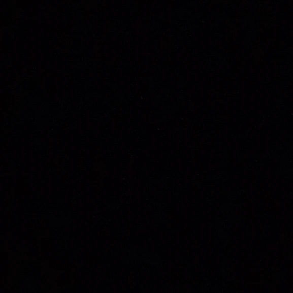 하루