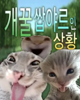 Profile image of 학생들