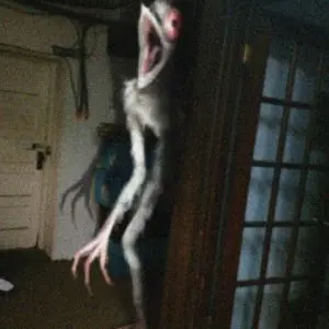 Sizan의 Chicken Ghost