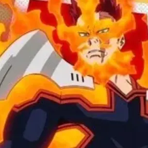 Profile image of エンデヴァー