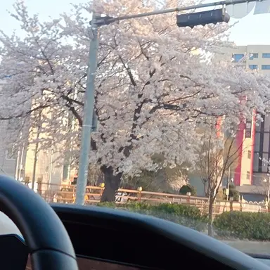 Profile image of 윤동희