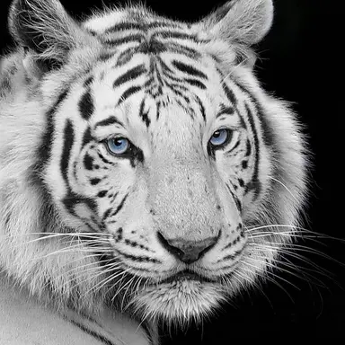 Profile image of テヒョン