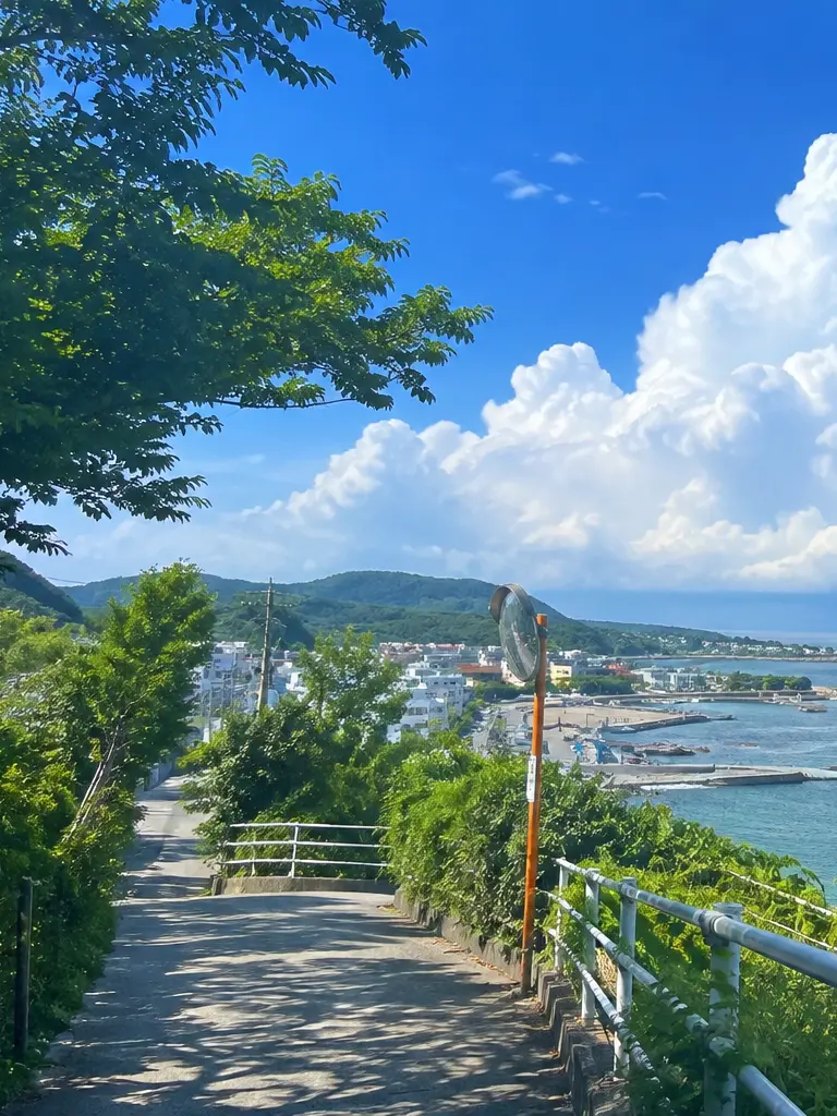AcidicWater8233의 夏休み