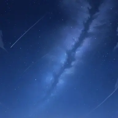 Profile image of 동물 세상