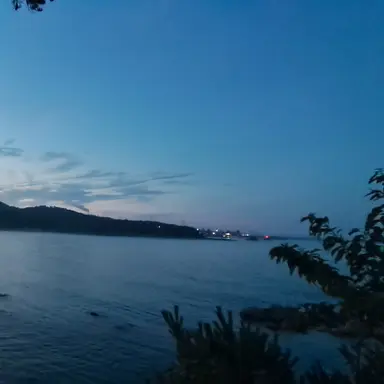 Profile image of 잠뜰