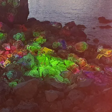 Profile image of 공룡