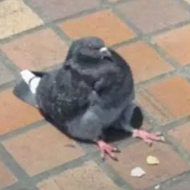 Profile image of 철푸덕