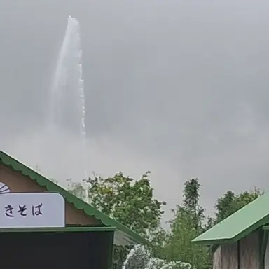 Profile image of 해리