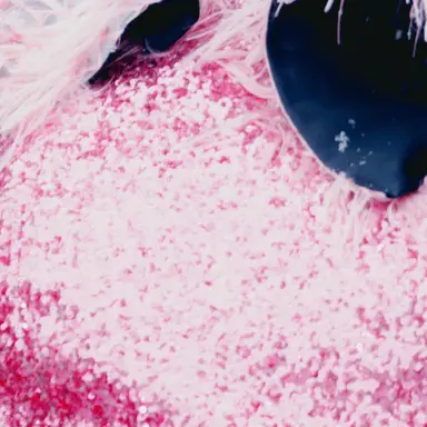 Profile image of 松本かれん