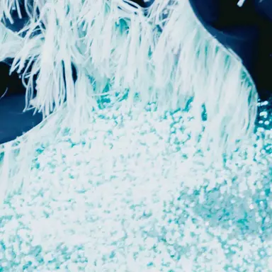 Profile image of 櫻井優衣