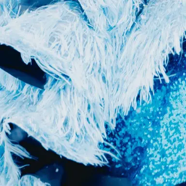 Profile image of 真中まな