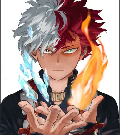 Profile image of Shoto Todoroki
