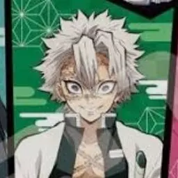 Profile image of 시나즈가와 사네미