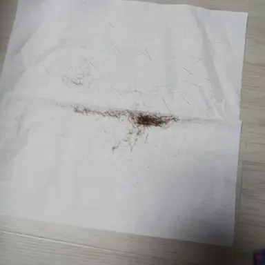 Profile image of 악플러 1