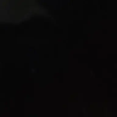 Profile image of 제노