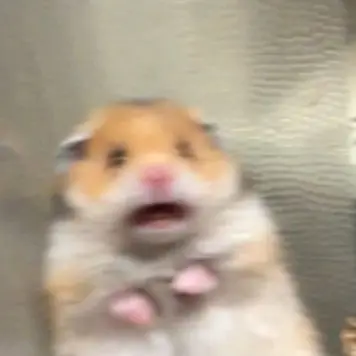 Profile image of 여우