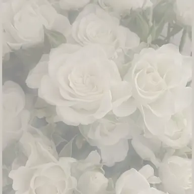 Profile image of あいす