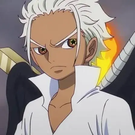 MultifandomtrainerRaven89의 S-Hawk - One Piece